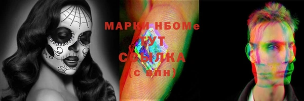 стаф Нефтегорск