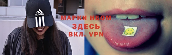 прущие грибы Алексин
