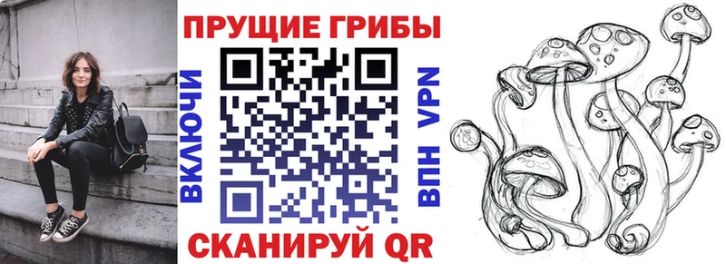сколько стоит  Суровикино  Псилоцибиновые грибы ЛСД 